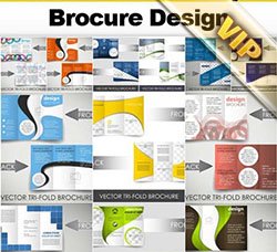 通用型折页模板：Brochure Design